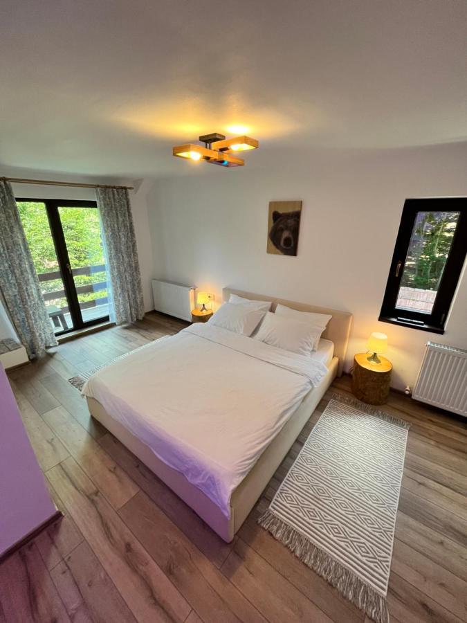 Hotel Cabana Din Padure Porumbacu de Sus Exteriér fotografie