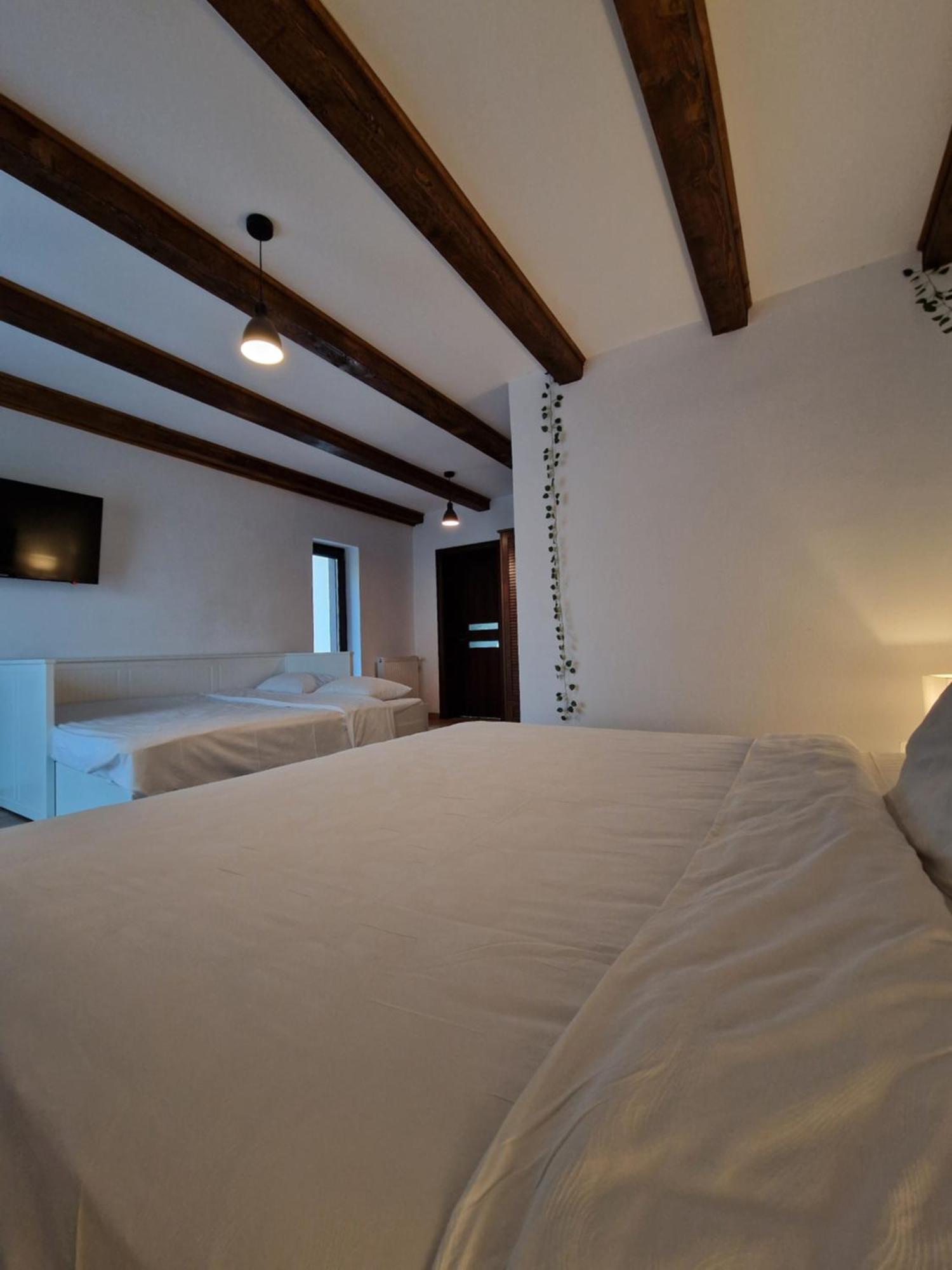 Hotel Cabana Din Padure Porumbacu de Sus Exteriér fotografie