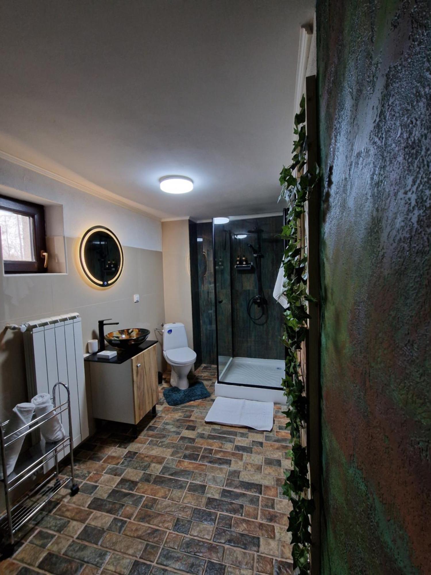 Hotel Cabana Din Padure Porumbacu de Sus Pokoj fotografie